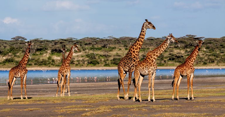 6 Days Tanzania Adventure